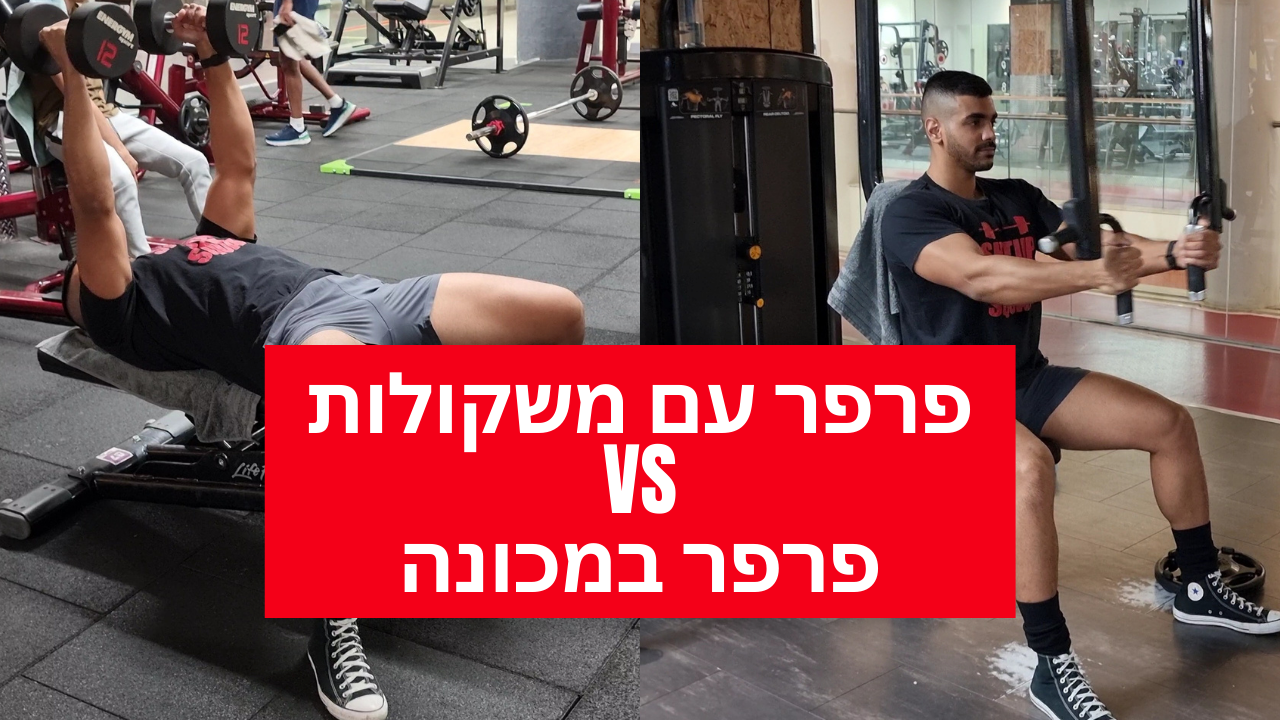 תרגיל הפרפר