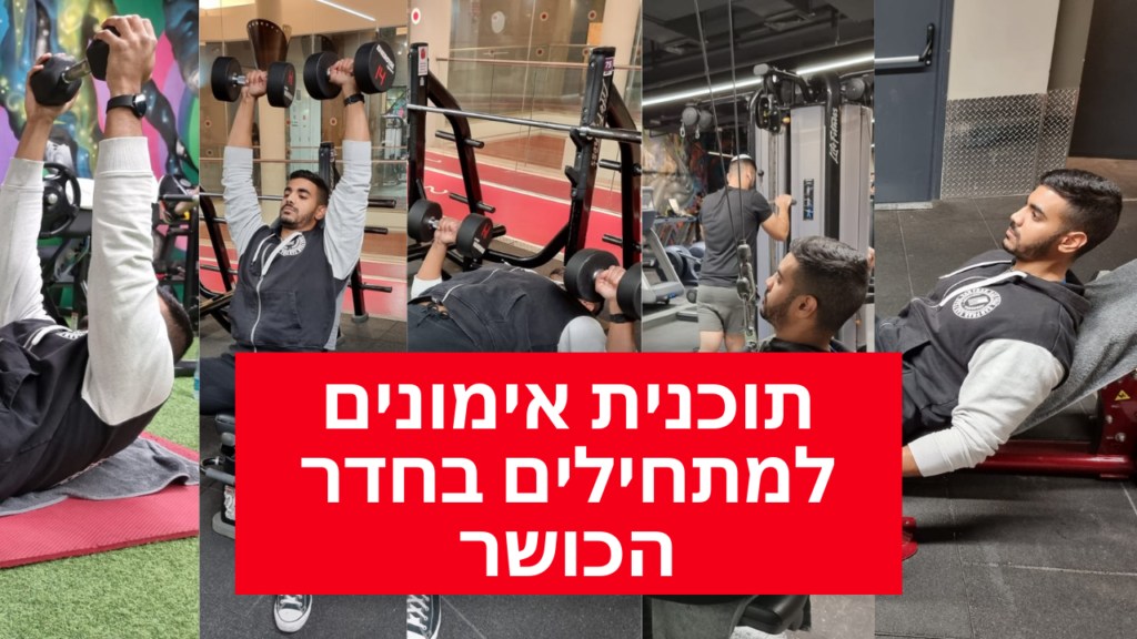 תוכנית אימונים למתחילים בחדר כושר