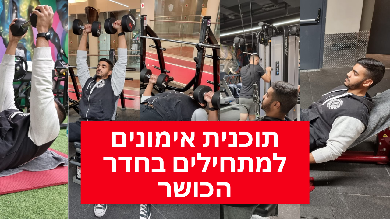 תוכנית אימונים למתחילים בחדר הכושר