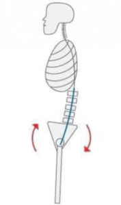 posterior pelvic tilt