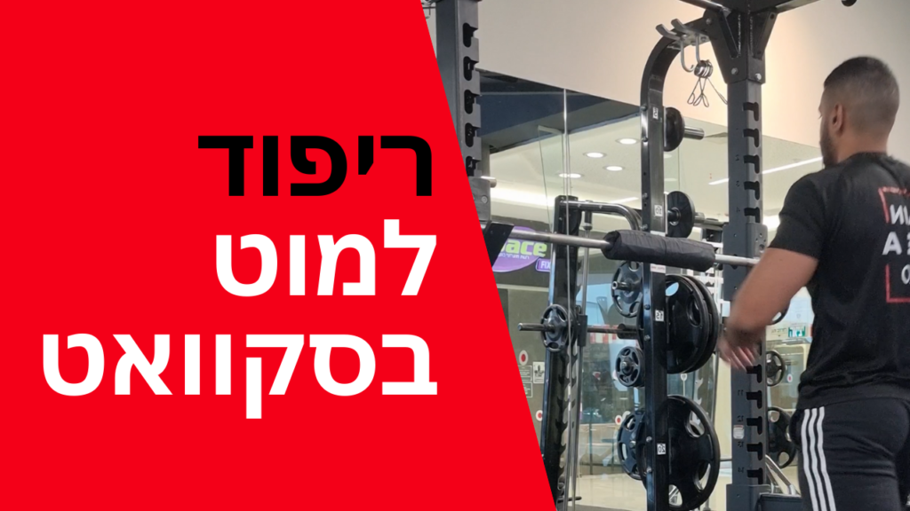 ריפוד למוט בסקוואט